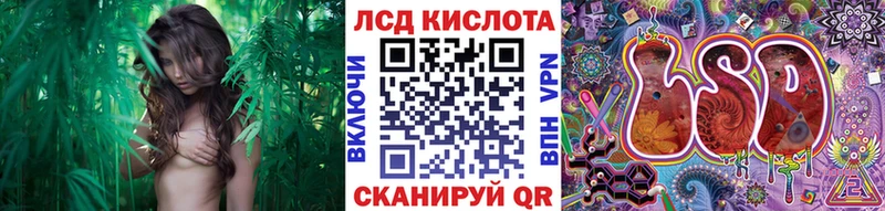 купить Борзя Марки N-bome 1,5мг